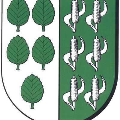 Sie sehen das Wappen der Gemeinde Huy. Die Blasonierung sieht wie folgt aus: Gespalten in Silber und Grün; Vorn 5 (2:2:1) steigende grüne Buchenblätter; Hinten	6 (2:2:2) silberne Schilfstängel im Blatt

